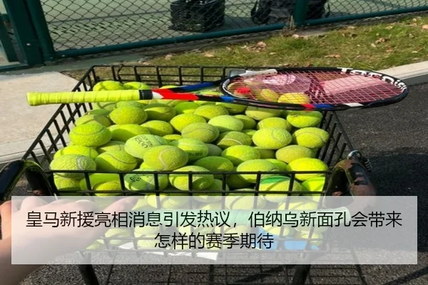 皇马新援亮相消息引发热议，伯纳乌新面孔会带来怎样的赛季期待